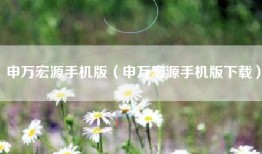 申万宏源手机版（申万宏源手机版下载）