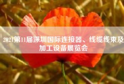 2021第11届深圳国际连接器、线缆线束及加工设备展览会