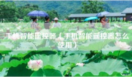 手机智能遥控器（手机智能遥控器怎么使用）