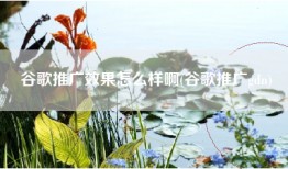 谷歌推广效果怎么样啊(谷歌推广gdn)
