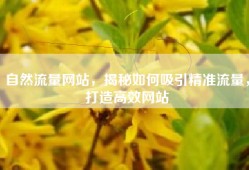 自然流量网站，揭秘如何吸引精准流量，打造高效网站