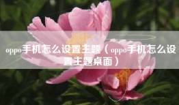 oppo手机怎么设置主题（oppo手机怎么设置主题桌面）