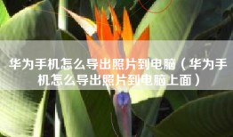 华为手机怎么导出照片到电脑（华为手机怎么导出照片到电脑上面）