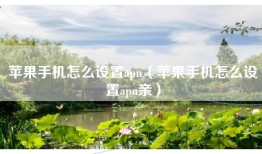 苹果手机怎么设置apn（苹果手机怎么设置apn亲）