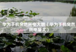 华为手机突然耗电大增（华为手机突然耗电量大）