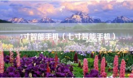 7寸智能手机（七寸智能手机）