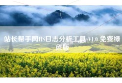 站长帮手网IIS日志分析工具 V1.0 免费绿色版