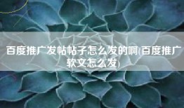 百度推广发帖帖子怎么发的啊(百度推广软文怎么发)