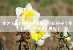 华为手机自带镜子手机版手机镜子「华为手机自带镜子手机版」