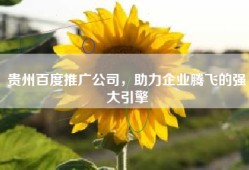 贵州百度推广公司，助力企业腾飞的强大引擎