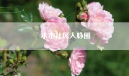 水木社区人脉圈