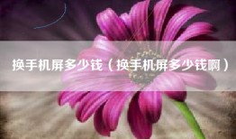 换手机屏多少钱（换手机屏多少钱啊）