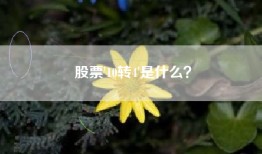 股票'10转4'是什么？