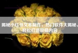 揭秘小红书文本制作，热门软件大揭秘，轻松打造吸睛内容