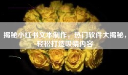 揭秘小红书文本制作，热门软件大揭秘，轻松打造吸睛内容