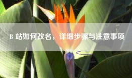 B 站如何改名，详细步骤与注意事项
