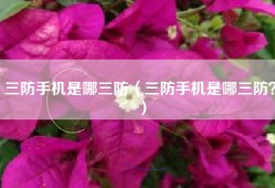 三防手机是哪三防（三防手机是哪三防？）