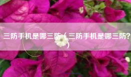 三防手机是哪三防（三防手机是哪三防？）