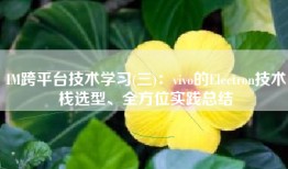 IM跨平台技术学习(三)：vivo的Electron技术栈选型、全方位实践总结