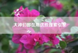 大神们都在用这些搜索引擎