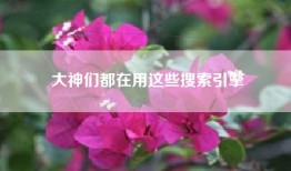 大神们都在用这些搜索引擎