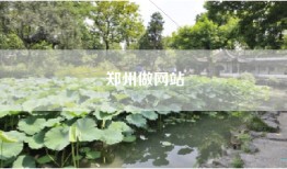 郑州做网站