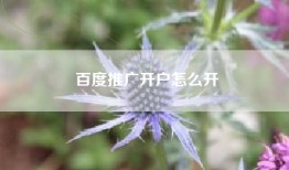 百度推广开户怎么开