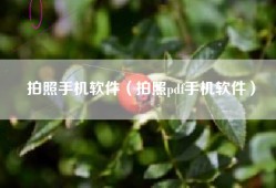 拍照手机软件（拍照pdf手机软件）