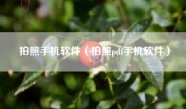 拍照手机软件（拍照pdf手机软件）