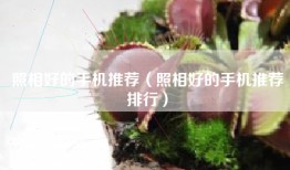 照相好的手机推荐（照相好的手机推荐排行）