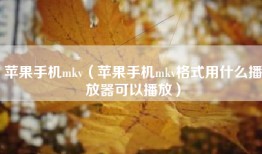 苹果手机mkv（苹果手机mkv格式用什么播放器可以播放）