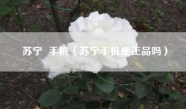 苏宁  手机（苏宁手机是正品吗）