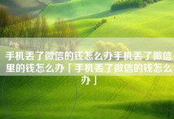 手机丢了微信的钱怎么办手机丢了微信里的钱怎么办「手机丢了微信的钱怎么办」
