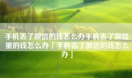 手机丢了微信的钱怎么办手机丢了微信里的钱怎么办「手机丢了微信的钱怎么办」