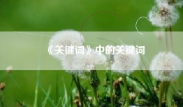 《关键词》中的关键词