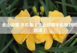 金山词霸 手机版（金山词霸手机版划词翻译）
