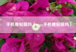 手机要贴膜吗（oppo手机要贴膜吗）