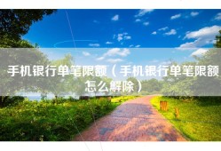 手机银行单笔限额（手机银行单笔限额怎么解除）