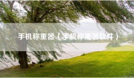 手机称重器（手机称重器软件）