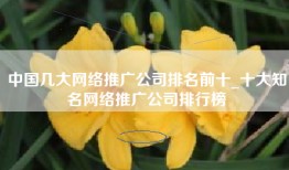中国几大网络推广公司排名前十_十大知名网络推广公司排行榜