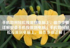 手机如何轻松投屏到电脑上，操作步骤详解安卓手机投屏到电脑「手机如何轻松投屏到电脑上，操作步骤详解」