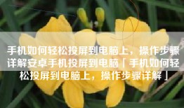 手机如何轻松投屏到电脑上，操作步骤详解安卓手机投屏到电脑「手机如何轻松投屏到电脑上，操作步骤详解」