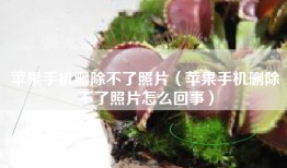 苹果手机删除不了照片（苹果手机删除不了照片怎么回事）