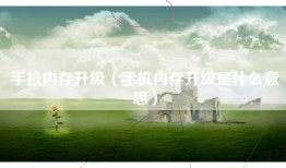 手机内存升级（手机内存升级是什么意思）