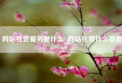 网站托管服务是什么_网站托管什么意思