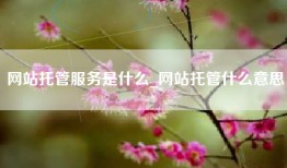 网站托管服务是什么_网站托管什么意思