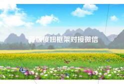 新版傻妞框架对接微信