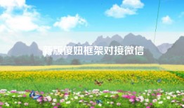 新版傻妞框架对接微信