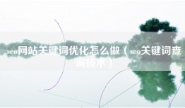 seo网站关键词优化怎么做（seo关键词查询技术）