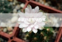 金融产品营销方案